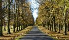 Clumber Park