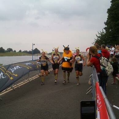 Triathlon-bees(2)